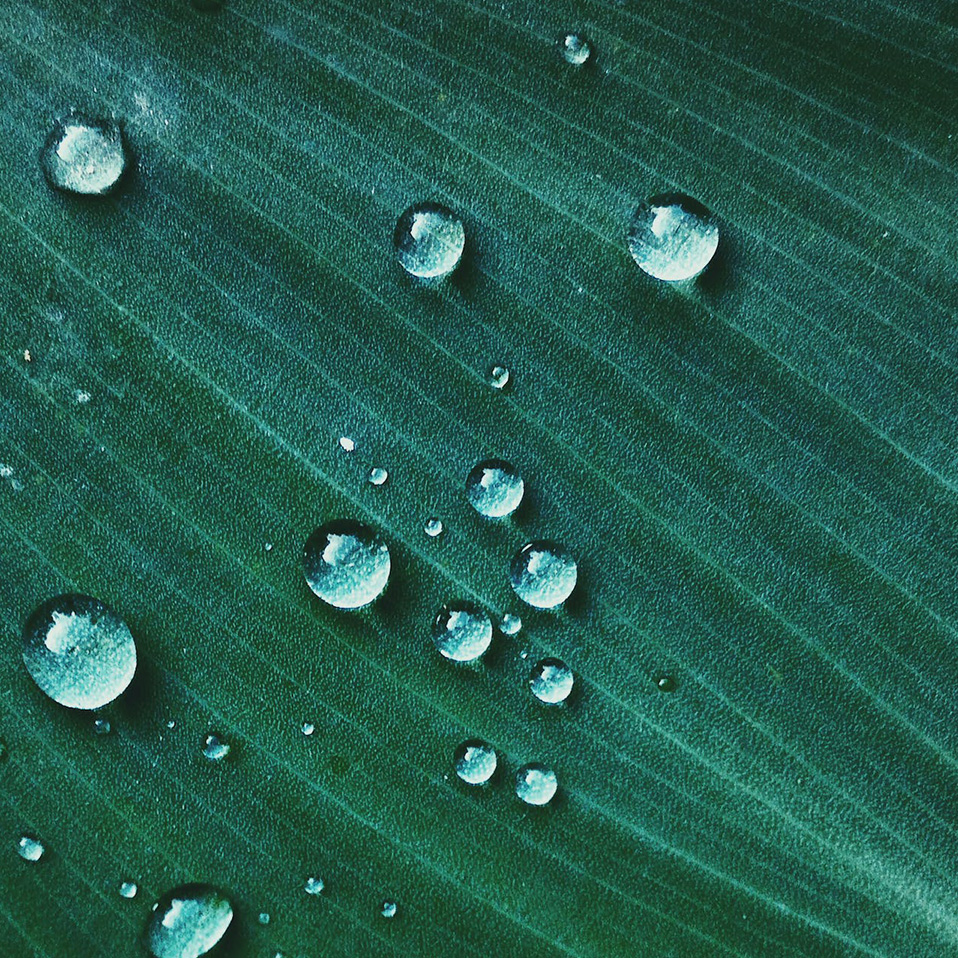 Climate
