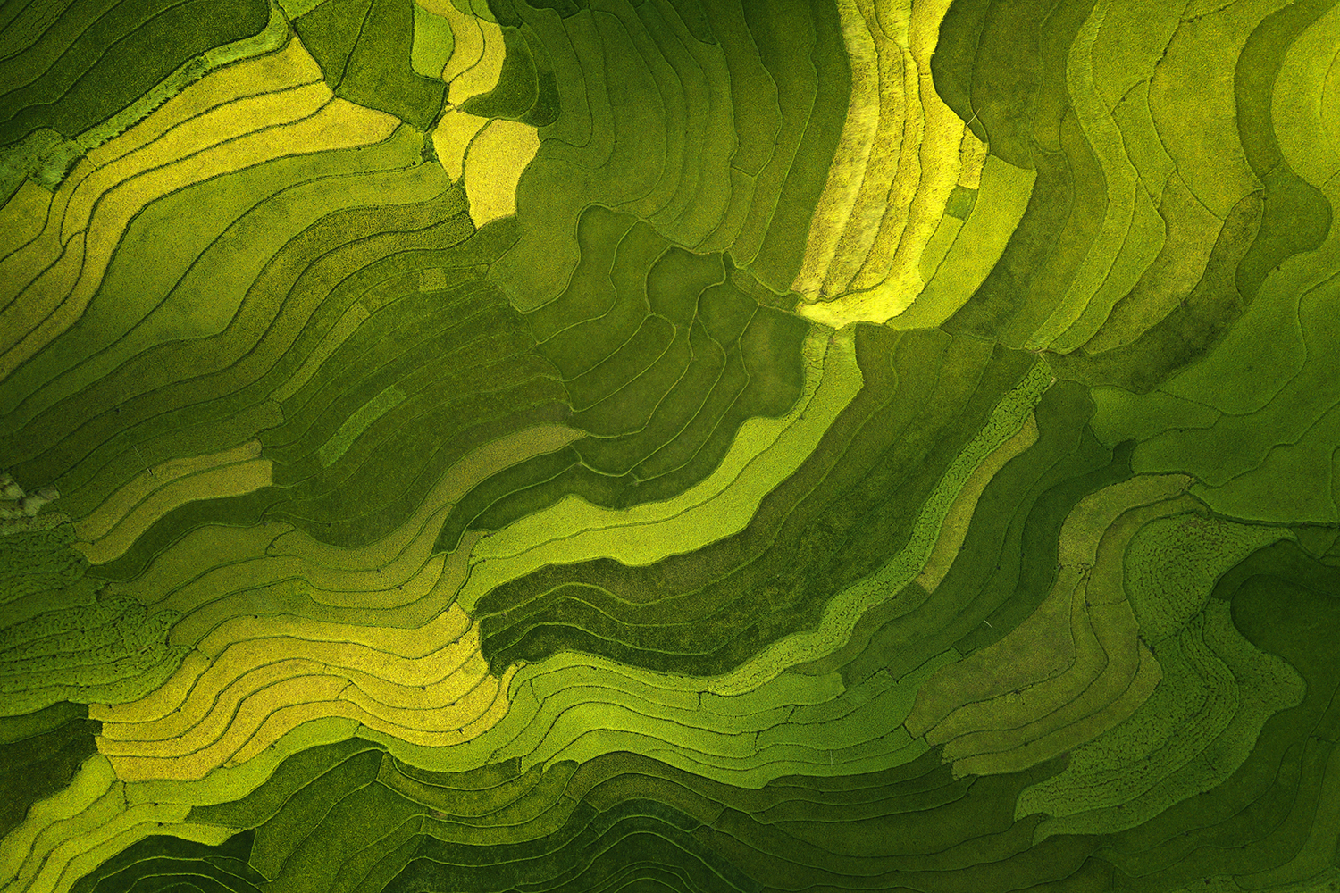 Sustainability