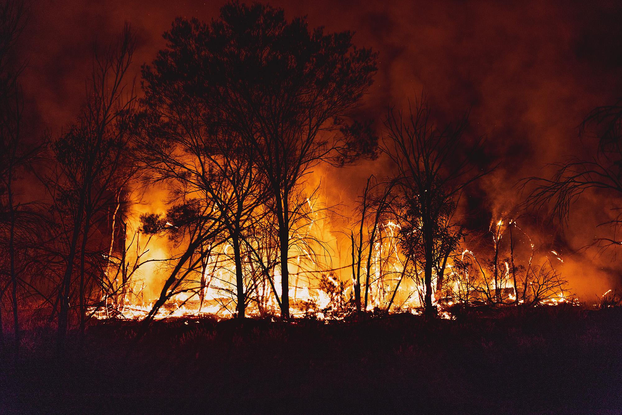 wildfire