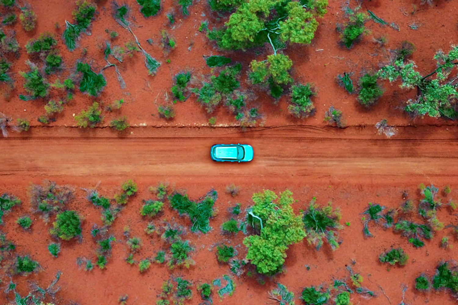 Sustainability