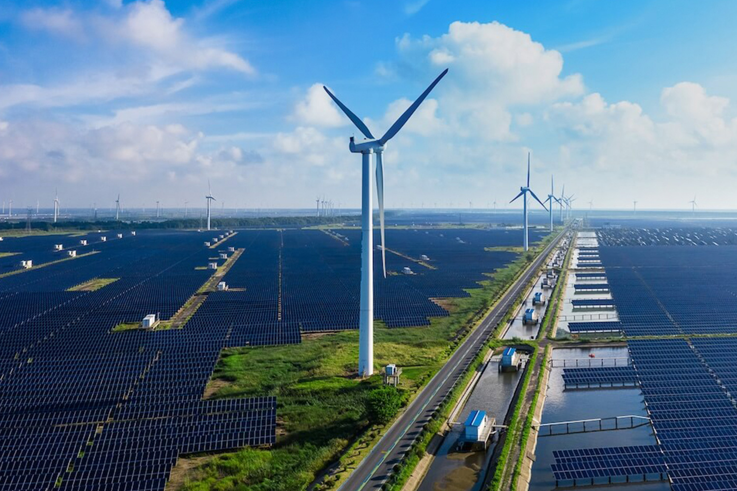 Sustainability