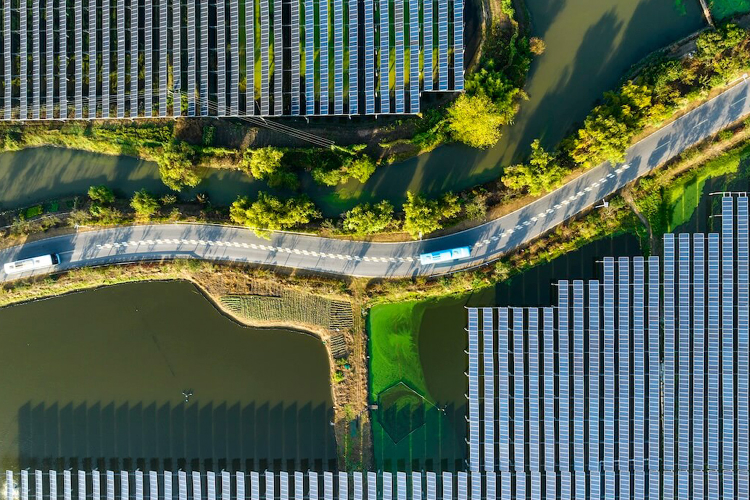 Sustainability