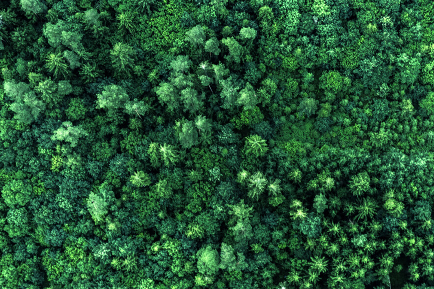Sustainability